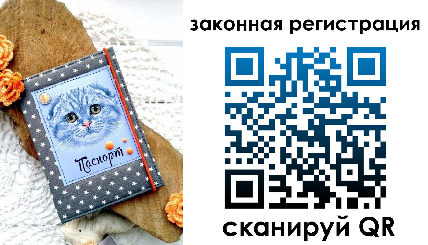 регистрация в Николаевске-на-Амуре